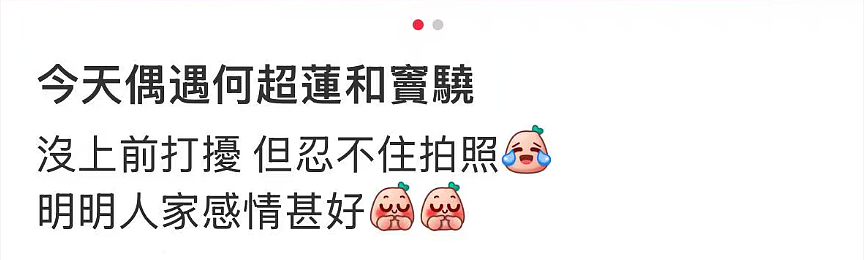 窦骁何超莲澳洲甜蜜度假，打脸婚变传闻！婚戒不离手力证情不变（组图） - 3