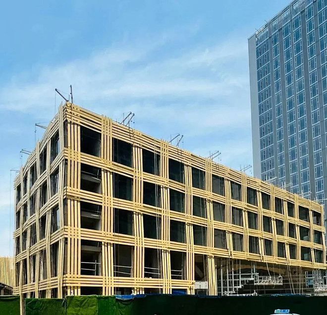 “在摆烂“?日本建筑大师武汉的设计被中国网友嘲(组图) - 2
