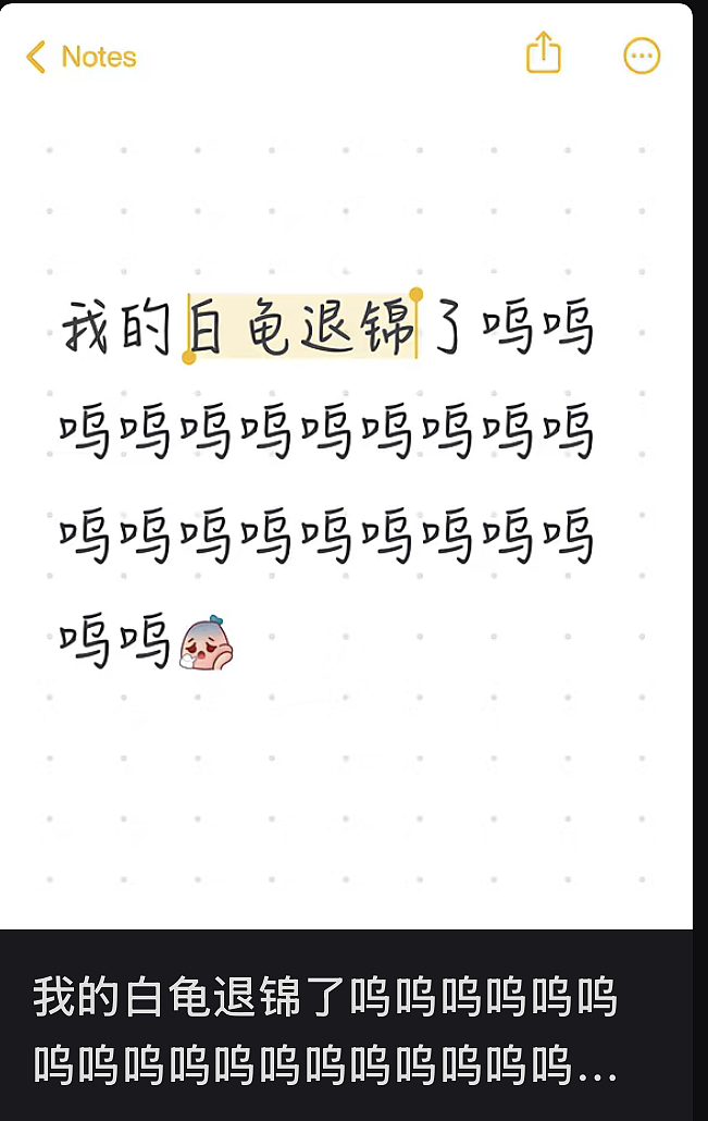 一株绿植100万，中产销金窟又出王炸？（组图） - 12