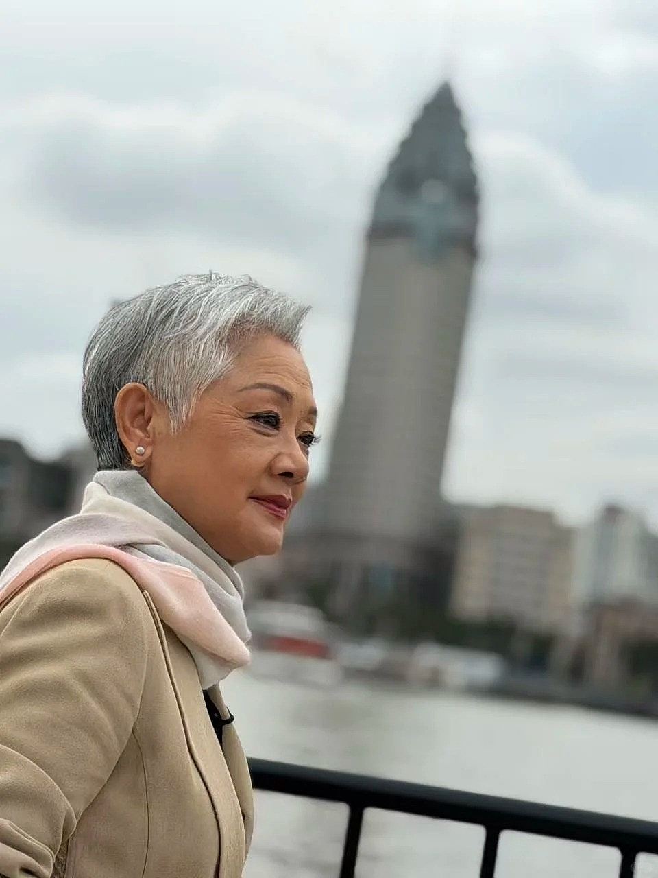 叶丽仪唱了一辈子《上海滩》终现身上海,长居澳洲,历癌变抑郁重生依然优雅(组图) - 3