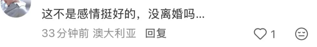 窦骁何超莲澳洲甜蜜度假，打脸婚变传闻！婚戒不离手力证情不变（组图） - 9