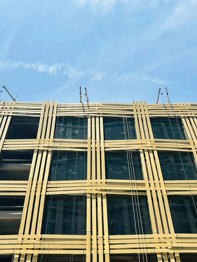 “在摆烂“?日本建筑大师武汉的设计被中国网友嘲(组图) - 5