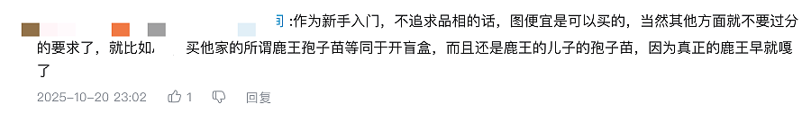 一株绿植100万,中产销金窟又出王炸?(组图) - 25