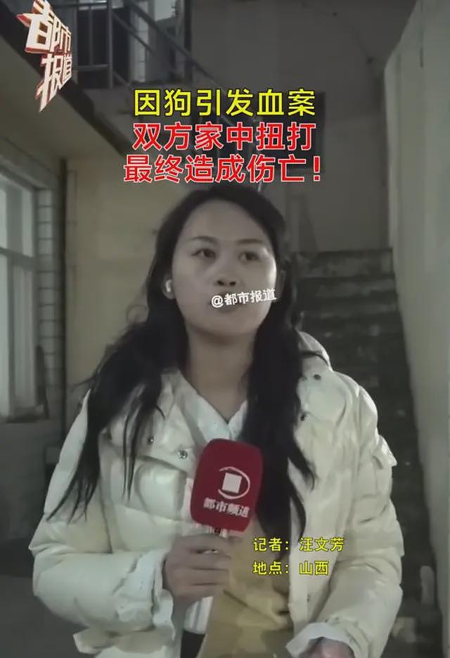 魔幻！狗咬人被摔死，狗主人上门打人反被杀，网友呼吁：正当防卫（视频/组图） - 2