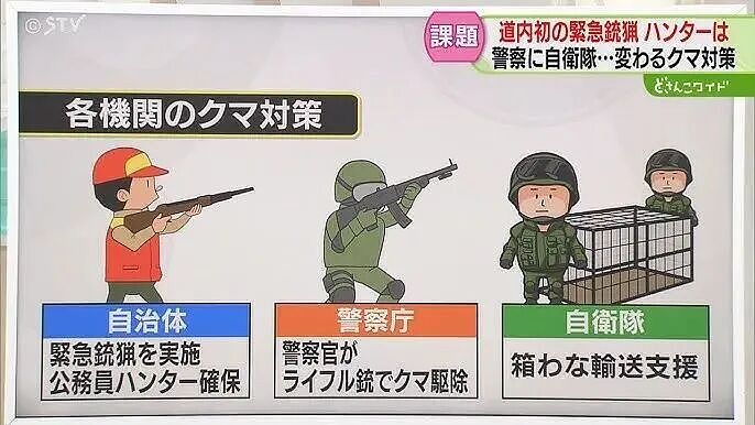 日本深陷“人熊战争”：杀人熊失控，第13名死者出现！专家：它们记住了人肉的味道...（组图） - 14