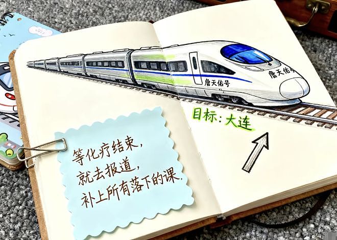 徽少年拿到大学录取通知书不久后病逝,父亲:他画去学校的火车,激励自己撑过化疗(组图) - 5