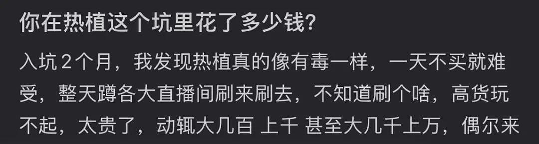 一株绿植100万，中产“销金窟”又出王炸（组图） - 10