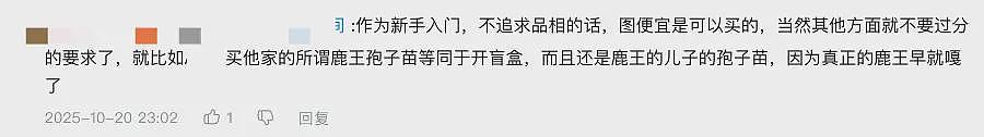 一株绿植100万，中产“销金窟”又出王炸（组图） - 22