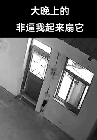 【宠物】主人教狗子祈祷,没想到狗子在主人最专注的时候,以一己之力“破坏”形式,狗子:麻麻全世界我最爱你(组图) - 1