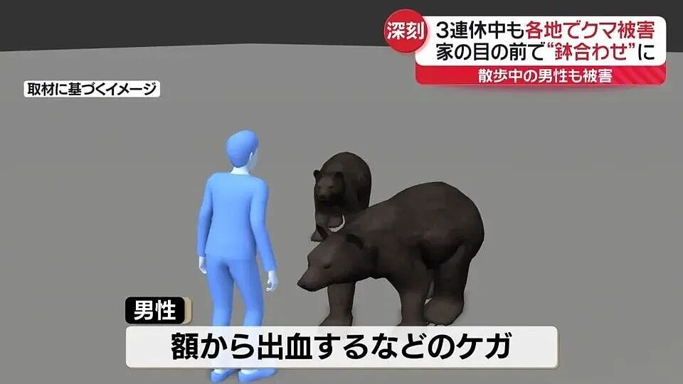 日本深陷“人熊战争”：杀人熊失控，第13名死者出现！专家：它们记住了人肉的味道...（组图） - 10