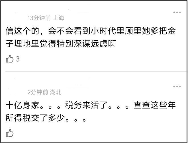 吴昕被曝身家十位数，下限10亿上限99亿，网友直言不可信建议查税（组图） - 5