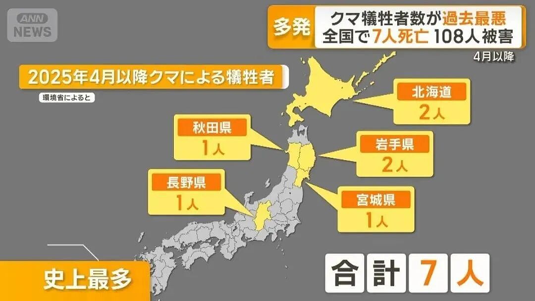 日本深陷“人熊战争”：杀人熊失控，第13名死者出现！专家：它们记住了人肉的味道...（组图） - 6