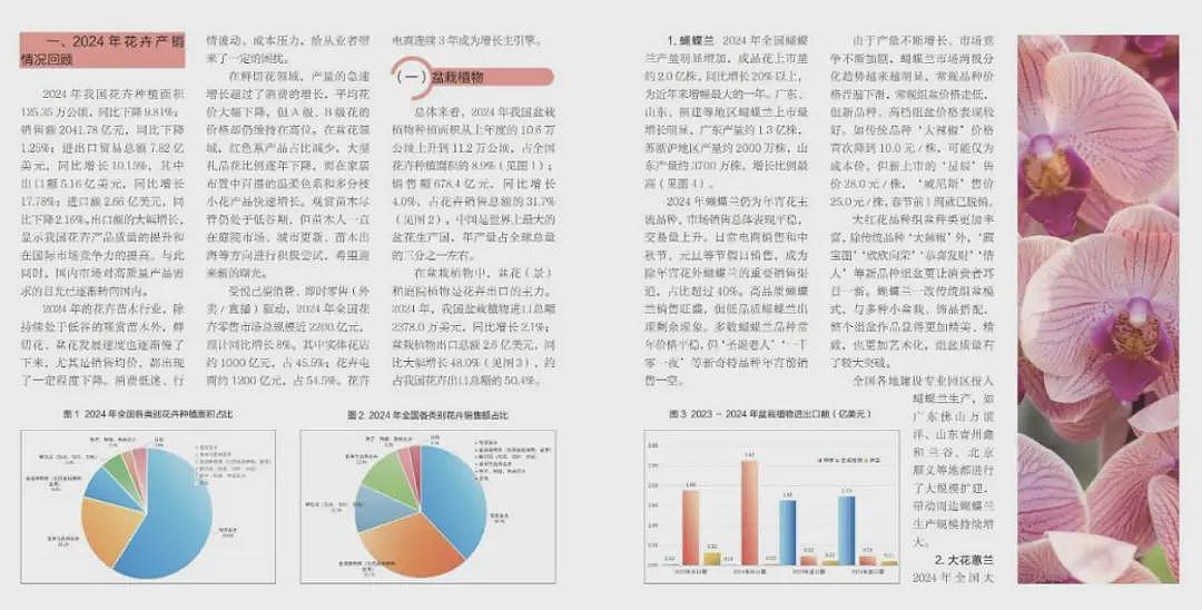 一株绿植100万，中产“销金窟”又出王炸（组图） - 16