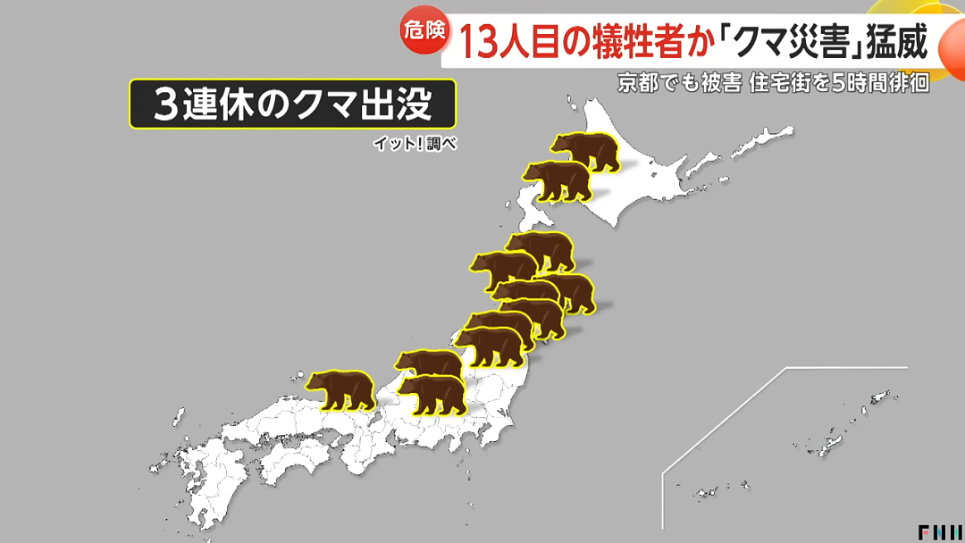 日本深陷“人熊战争”：杀人熊失控，第13名死者出现！专家：它们记住了人肉的味道...（组图） - 5