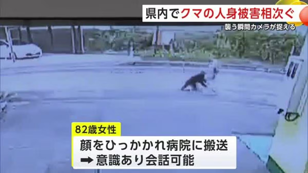 日本深陷“人熊战争”：杀人熊失控，第13名死者出现！专家：它们记住了人肉的味道...（组图） - 9
