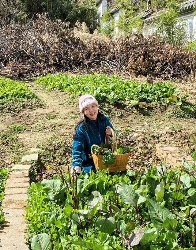 龚琳娜装修大理别墅,离婚后儿子不在身边,独自住山上养猫陪自己(组图) - 8