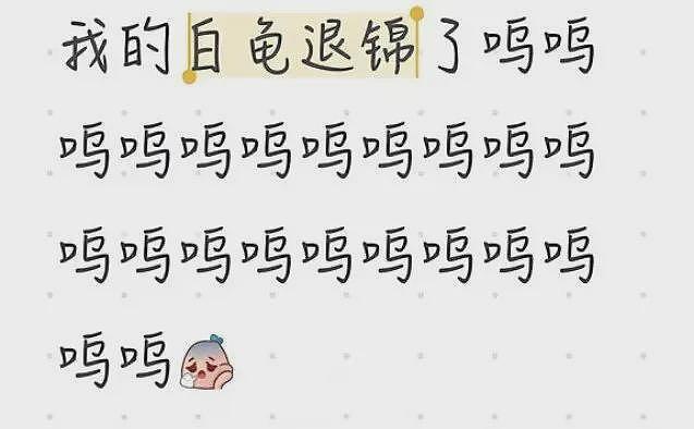 一株绿植100万，中产“销金窟”又出王炸（组图） - 12