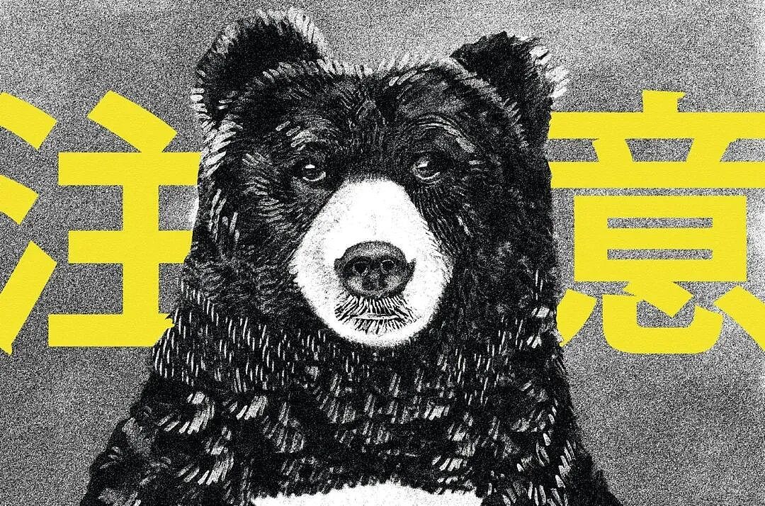 太可怕!日本“熊灾“失控,今年被目睹2万次“熊出没“,黑熊频繁出现城镇街道,多人伤亡(组图) - 21