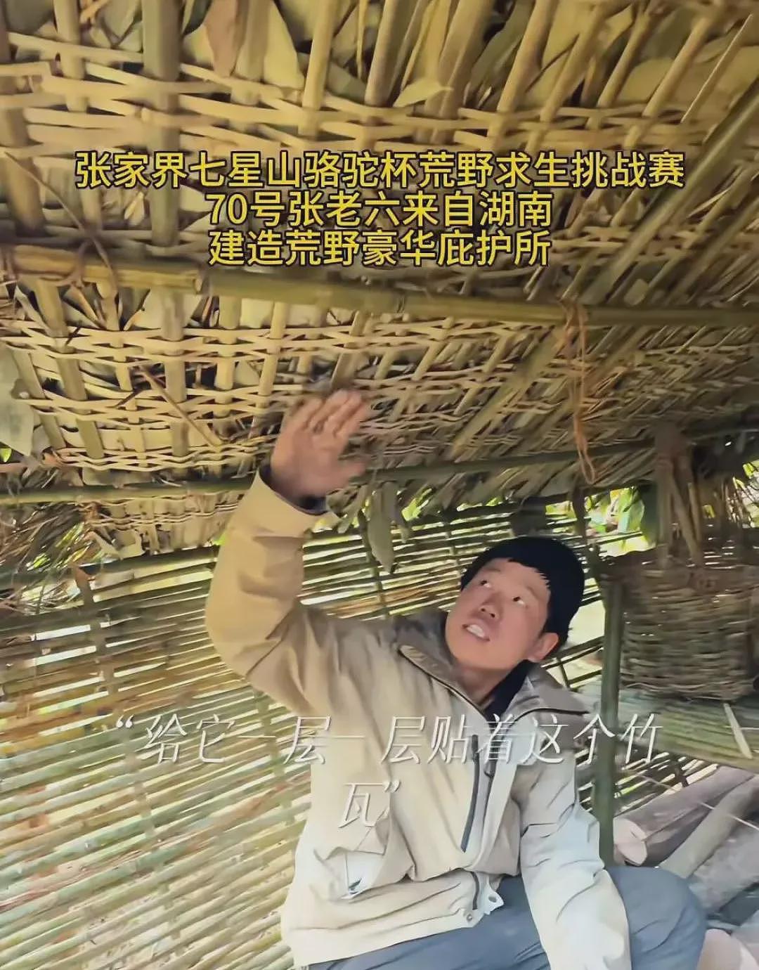 29岁“冷美人”去张家界当野人,35天面相大变,越来越有疯感了(组图) - 8
