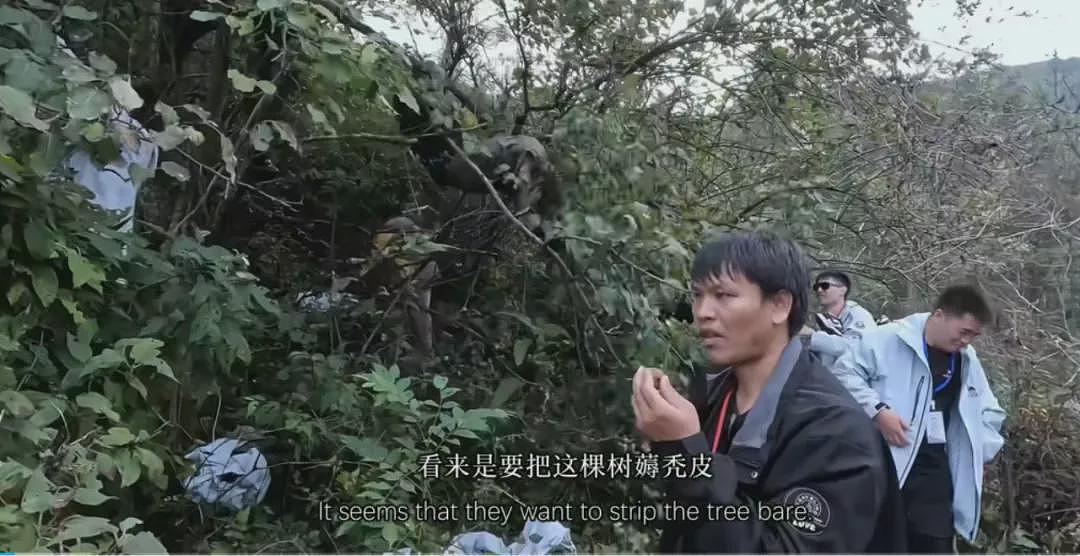 29岁“冷美人”去张家界当野人,35天面相大变,越来越有疯感了(组图) - 14