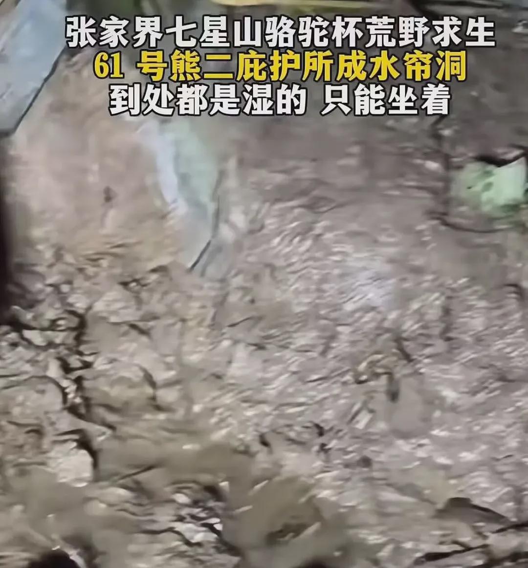 29岁“冷美人”去张家界当野人,35天面相大变,越来越有疯感了(组图) - 17