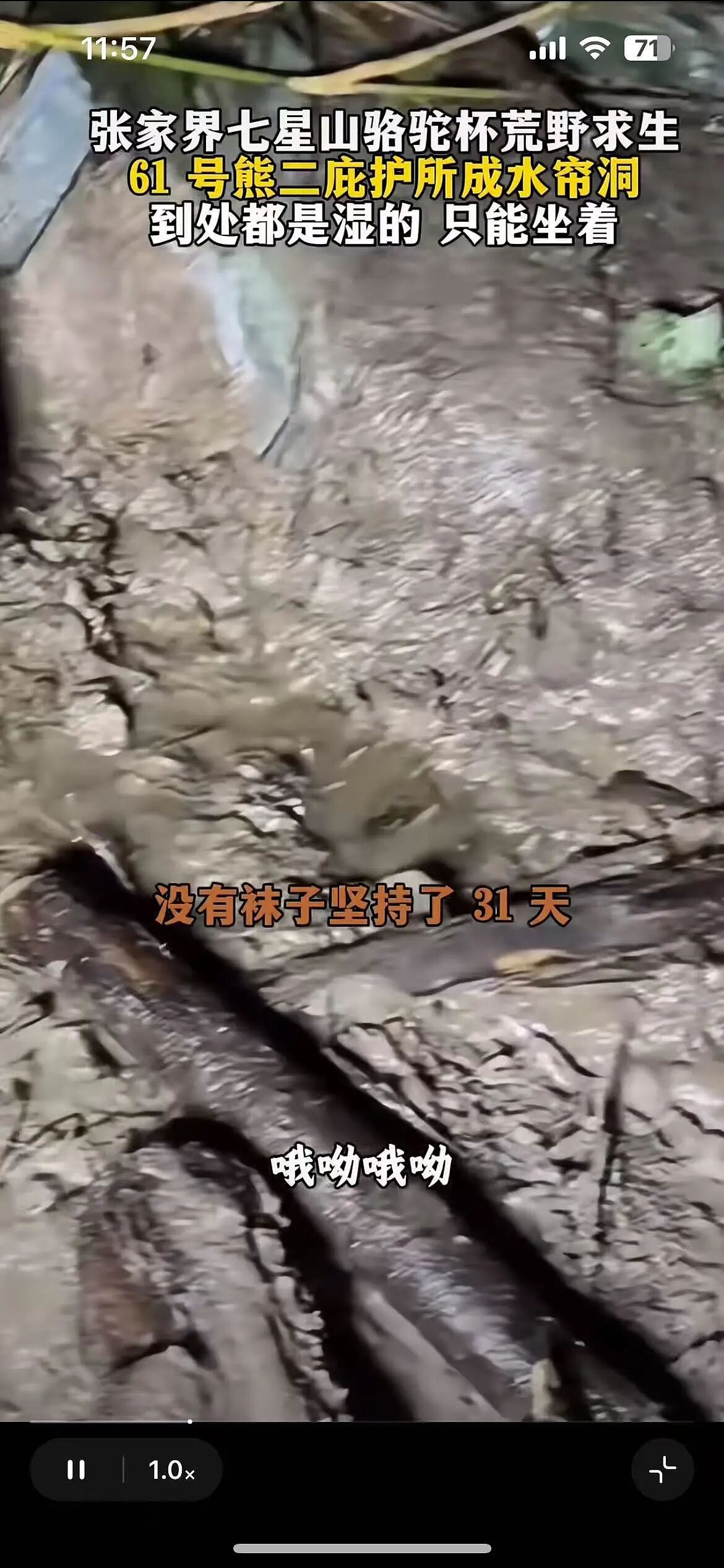 35天了,她面相大变,越来越有疯感(组图) - 16