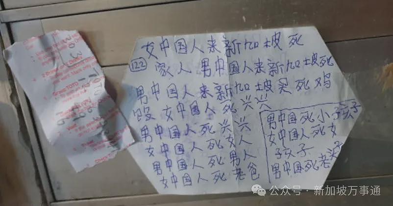 华裔小伙被新加坡安哥指着鼻子叫嚣谩骂：“他X的，回国去！”真相竟是…（组图） - 8