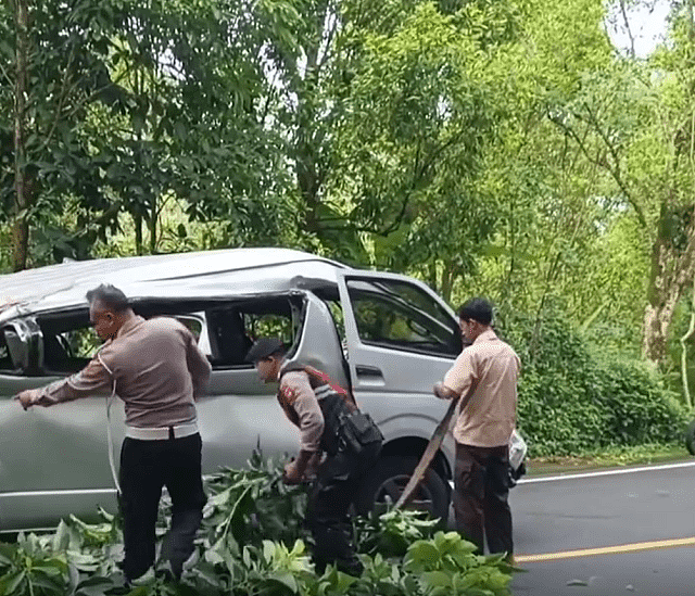 中国游客峇里岛严重车祸，汽车撞树5死8伤影片曝！印尼警方：小巴坠入山沟（视频/组图） - 3