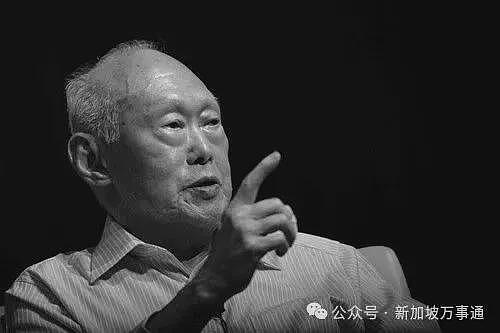 华裔小伙被新加坡安哥指着鼻子叫嚣谩骂：“他X的，回国去！”真相竟是…（组图） - 13