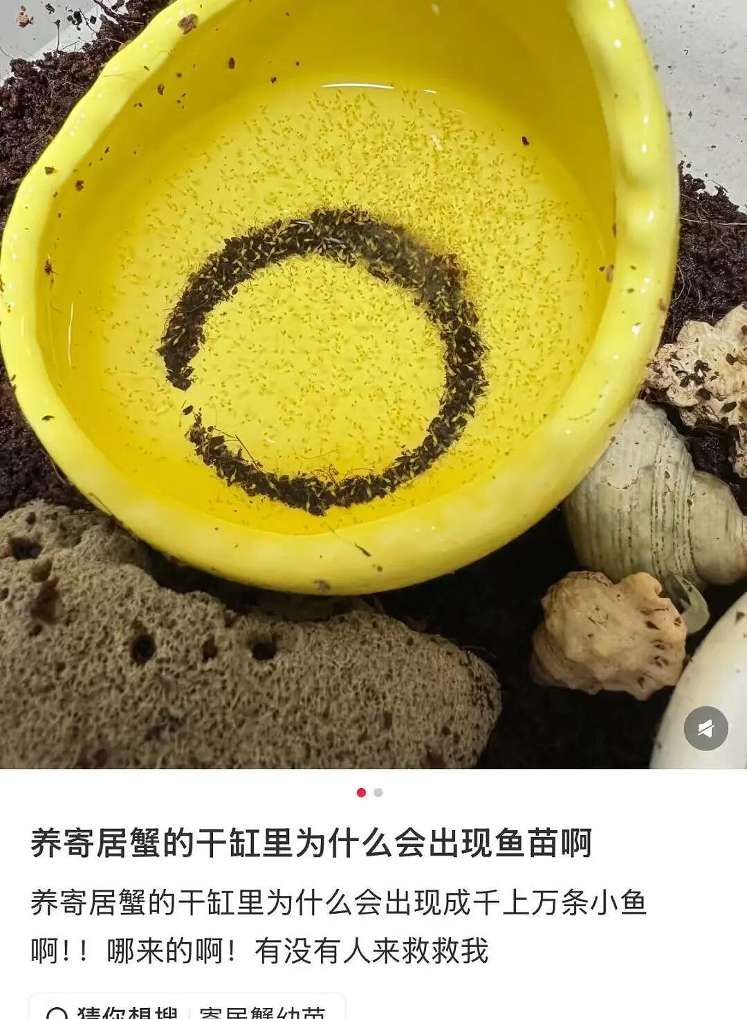 【爆笑】男友同时劈腿4人要不要原谅他…?啊啊啊这才是真正的时间管理大师(组图) - 18