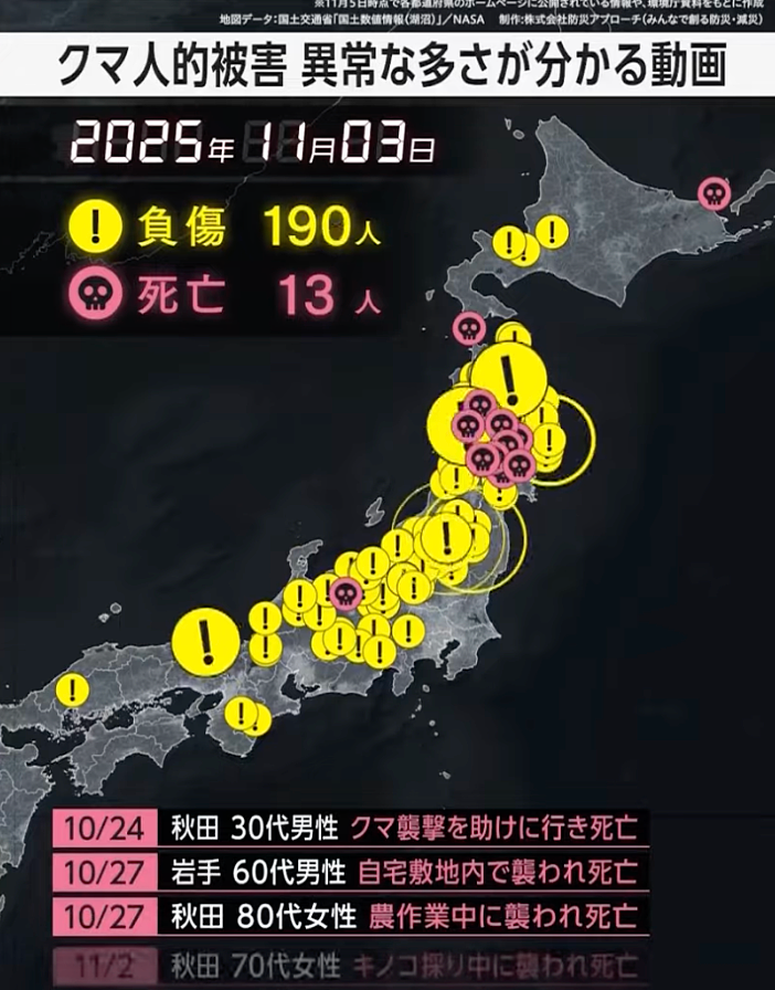太可怕!日本“熊灾“失控,今年被目睹2万次“熊出没“,黑熊频繁出现城镇街道,多人伤亡(组图) - 9