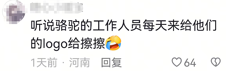 35天了,她面相大变,越来越有疯感(组图) - 47