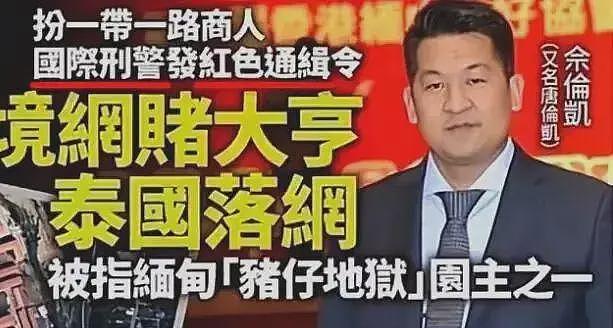 佘智江被抓，牵出赵薇前夫黄有龙和妙瓦底诈骗的瓜，真相太炸裂（组图） - 5