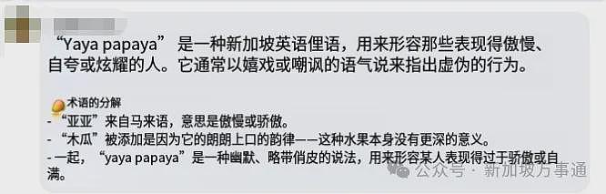 华裔小伙被新加坡安哥指着鼻子叫嚣谩骂：“他X的，回国去！”真相竟是…（组图） - 7