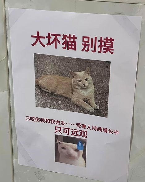 【爆笑】花7千块钱找大师帮我和前男友复合,没想到..网友夺笋:这钱赚的不容易(组图) - 63