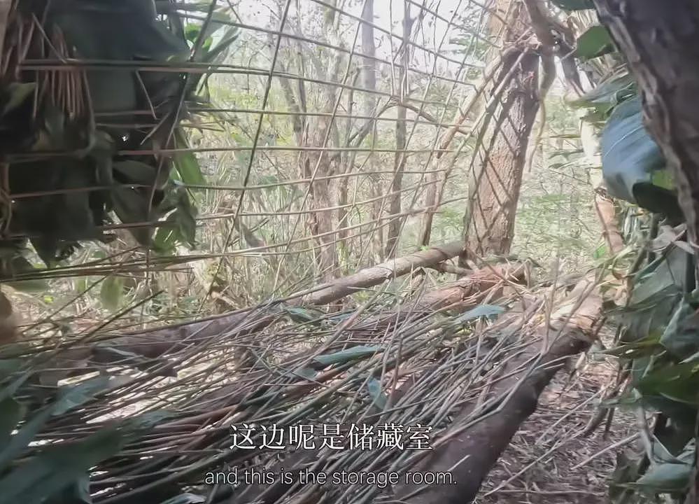 29岁“冷美人”去张家界当野人,35天面相大变,越来越有疯感了(组图) - 6