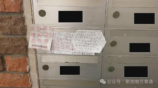 华裔小伙被新加坡安哥指着鼻子叫嚣谩骂：“他X的，回国去！”真相竟是…（组图） - 9