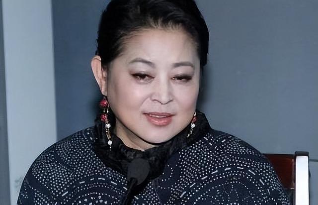 钱再多有什么用!66岁身家过亿的倪萍,还是要为儿子婚恋操碎了心(组图) - 12