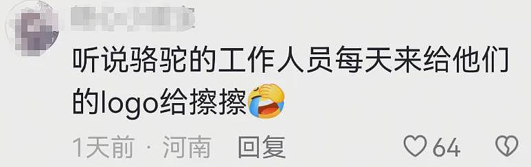 29岁“冷美人”去张家界当野人,35天面相大变,越来越有疯感了(组图) - 47