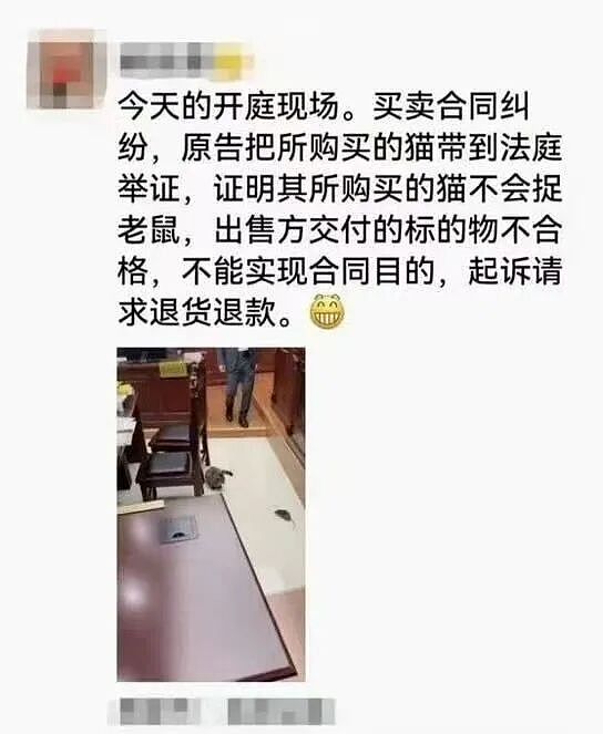 【爆笑】男友同时劈腿4人要不要原谅他…?啊啊啊这才是真正的时间管理大师(组图) - 21