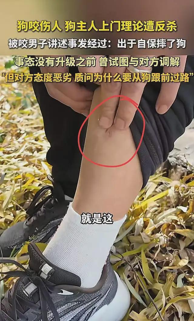 一条狗引发的命案后续:案发当晚视频曝光,律师透露一审重大进展(组图) - 6