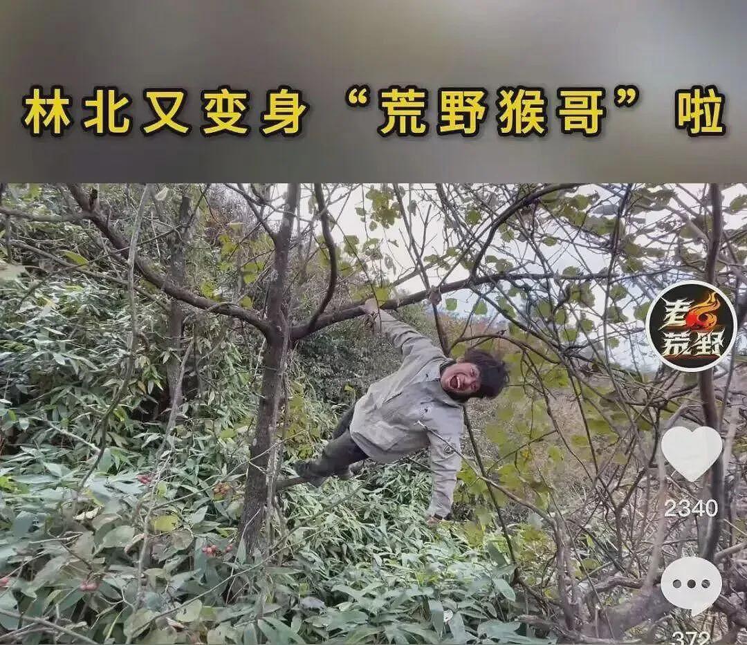 29岁“冷美人”去张家界当野人,35天面相大变,越来越有疯感了(组图) - 31