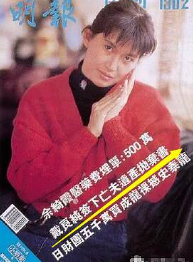 三任老公1死2坐牢!嫁当红小生被家暴毁容,三婚老公反遭二婚前夫砍杀!获上亿保险金后人间蒸发?(组图) - 22