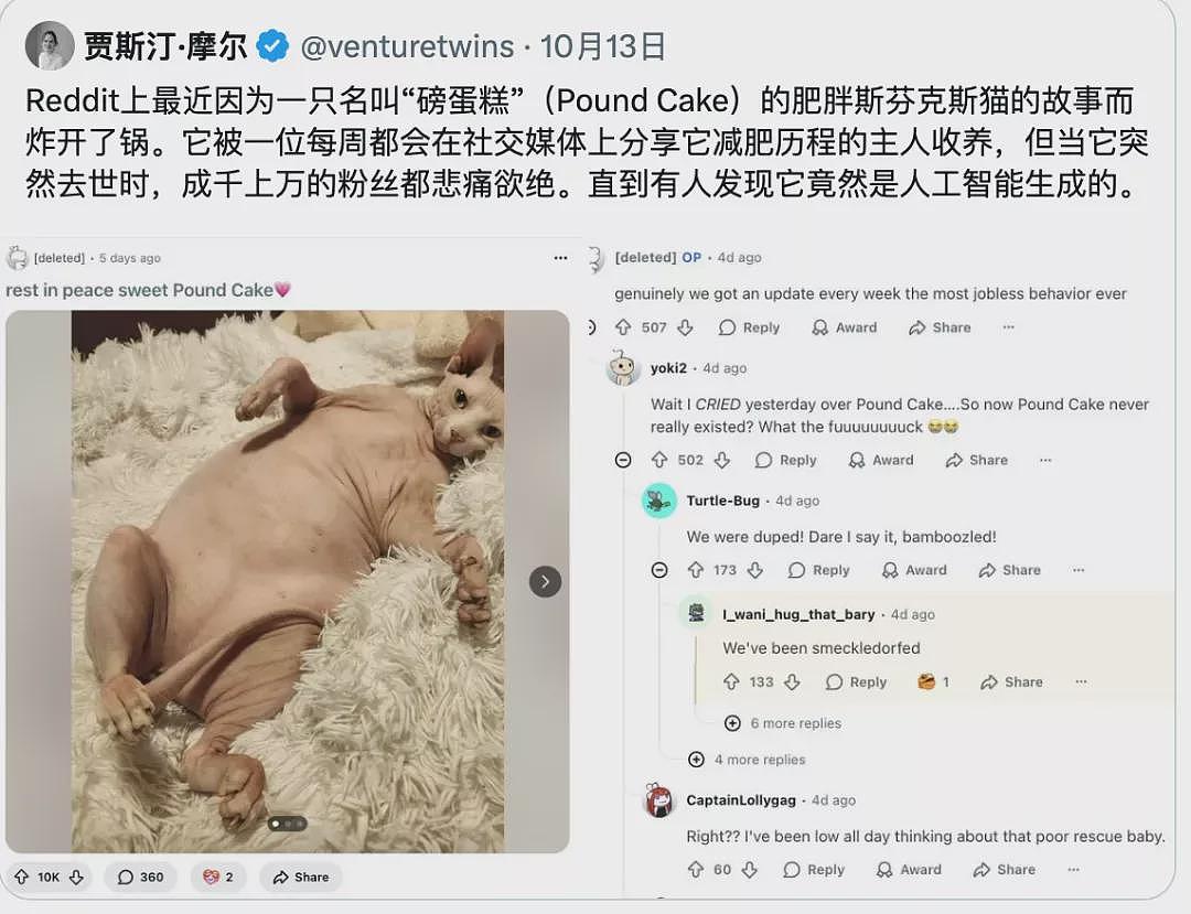 硅谷疯传“死网理论”，这代孩子将被困在幻觉里（组图） - 3