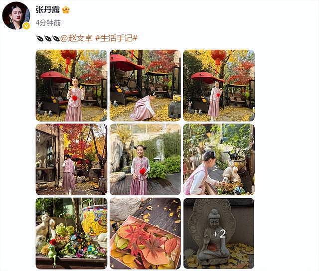 赵文卓妻女北京别墅赏秋，院里满是落叶，仨子女只有小女儿留身边（组图） - 1