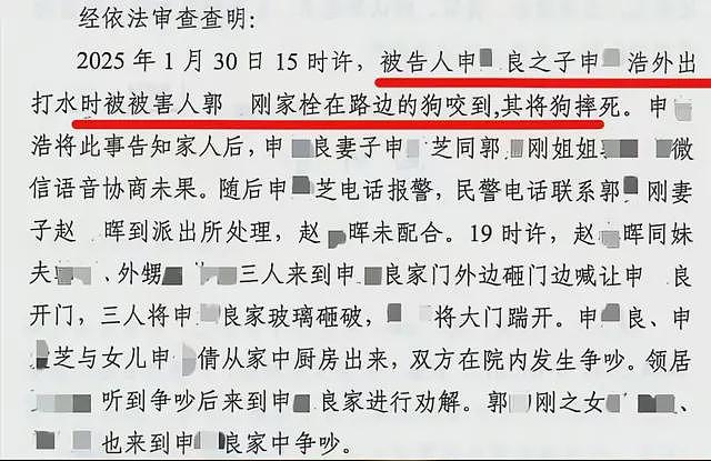 一条狗引发的命案后续:案发当晚视频曝光,律师透露一审重大进展(组图) - 24