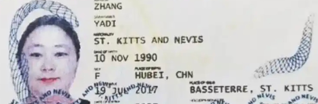 坑惨12万投资者，47岁钱志敏床上被抓，500亿财富要流落海外？（组图） - 7