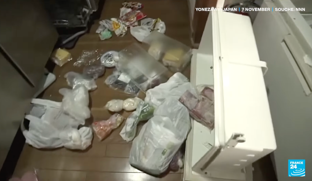 太可怕!日本“熊灾“失控,今年被目睹2万次“熊出没“,黑熊频繁出现城镇街道,多人伤亡(组图) - 32