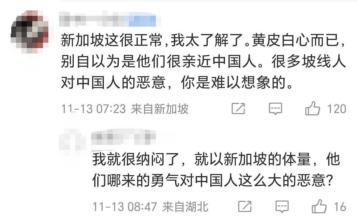 华裔小伙被新加坡安哥指着鼻子叫嚣谩骂：“他X的，回国去！”真相竟是…（组图） - 5