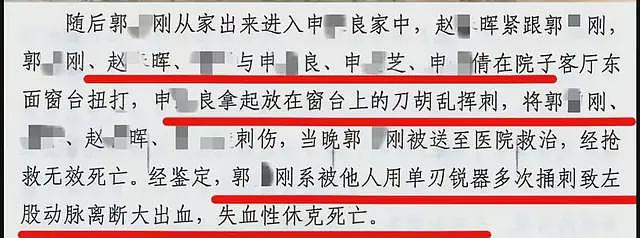 一条狗引发的命案后续:案发当晚视频曝光,律师透露一审重大进展(组图) - 25